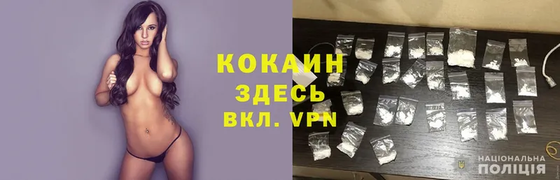 Cocaine Fish Scale  купить   Истра 